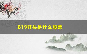 “B19开头是什么股票(B19是什么)